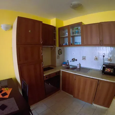Aleksiev Sunny Day 1 * Slăntjev Brjag